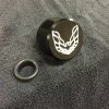 Pontiac Late Firebird Push in Breather Black