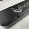 Disco Sled and Pontiac Firebird logo black satin coating 4