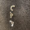 stainless steel wing nut f